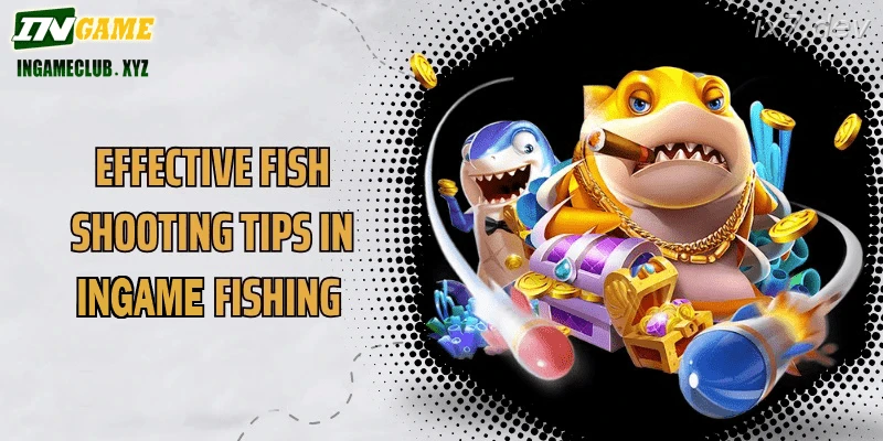 IX7 Fishing India tips for INR bankroll and safer bullet spending